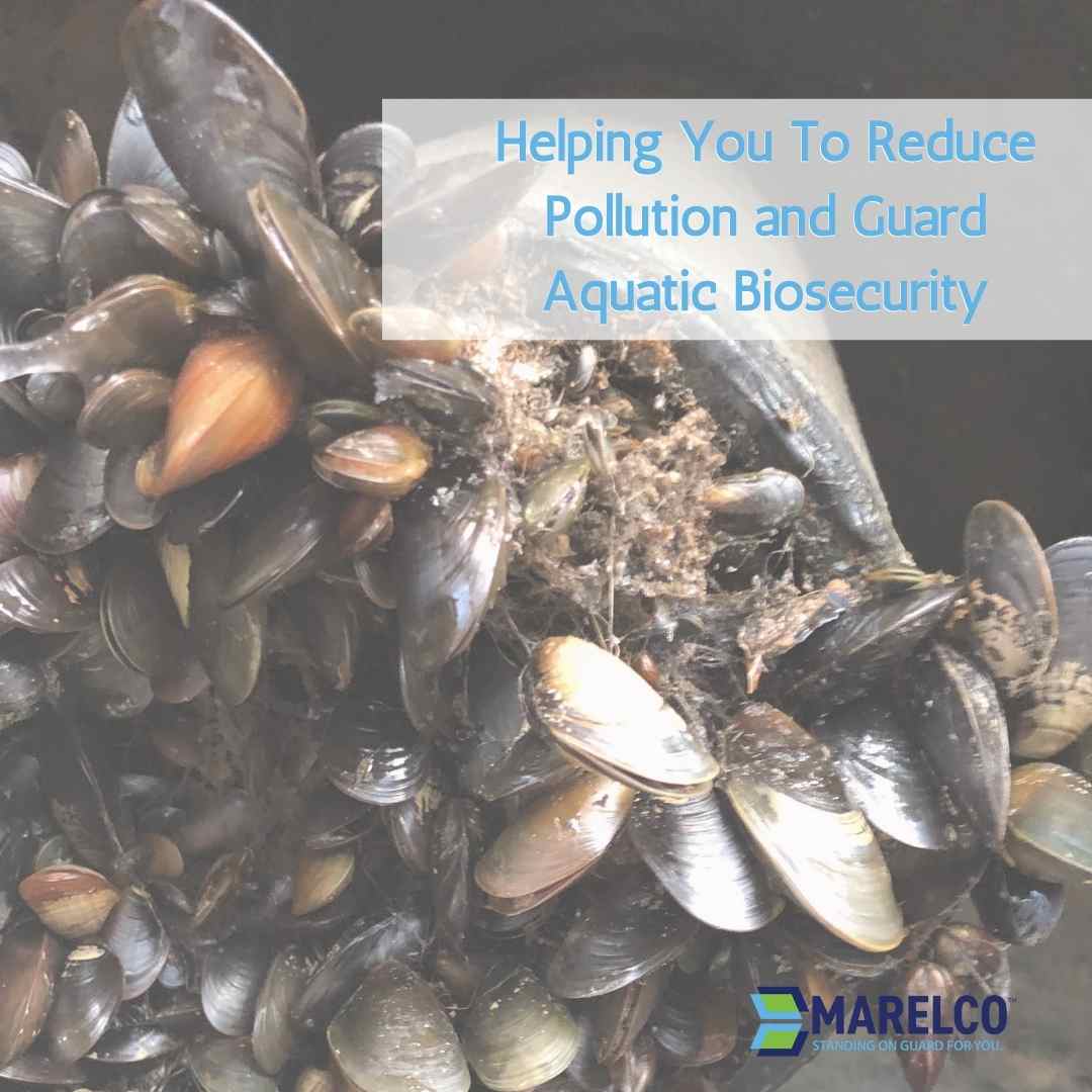 Helping You To Reduce Pollution and Guard Aquatic Biosecurity