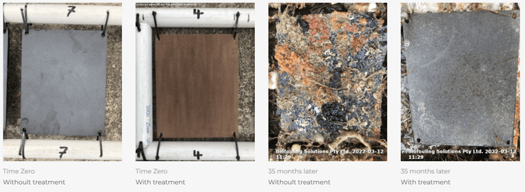 submerged static artificial structures, Kinetic Elements, CSYRO, MGPS, Biofuling Suricle